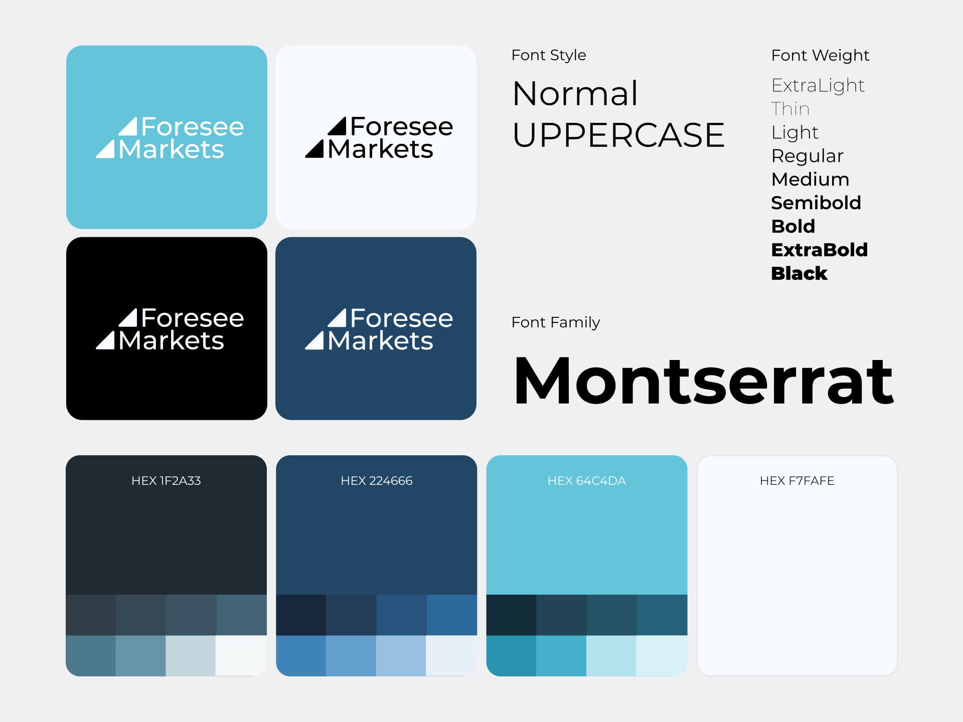 A brand shaped for financial media.